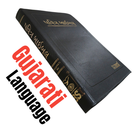 Gujrati Bible | The Holy Bible | Normal Size | Medium Size Bible | Red Edge Bible | New Edition