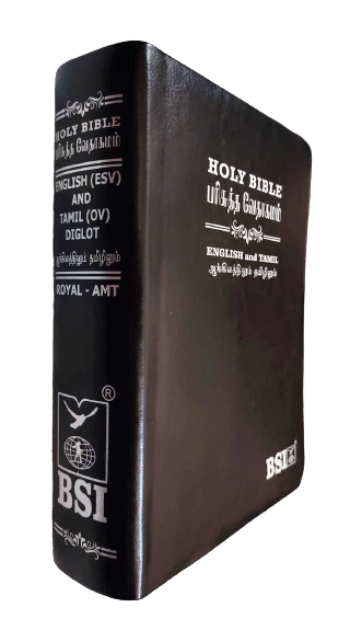 Tamil-English Parallel Bible (Large Print, China Edition) - BSI Black Leather Bound with Silver Edges (ISBN: 9789393511881)