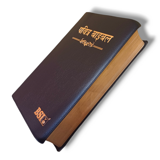 The Holy Bible In Hindi |Crown Black Color Bound |Golden Edge Bible |Hindi Compact Size Bible