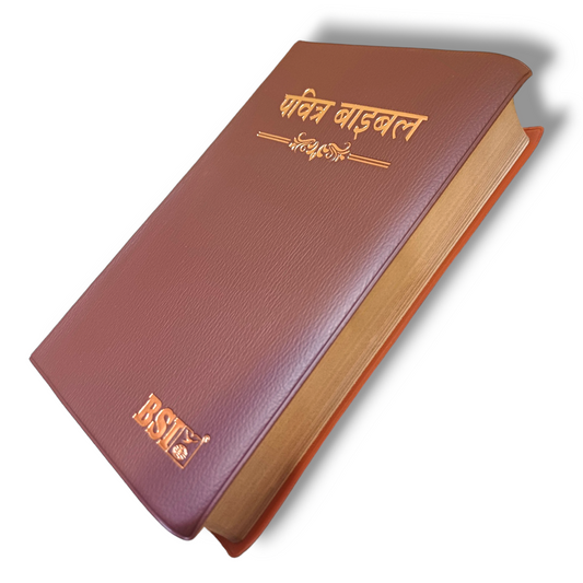 The Holy Bible In Hindi |Crown Brown Color Bound |Golden Edge Bible |Hindi Compact Size Bible