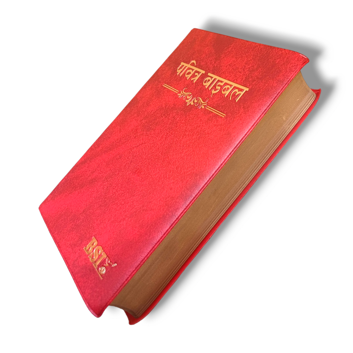 The Holy Bible In Hindi |Crown Maroon Color Bound |Golden Edge Bible ...