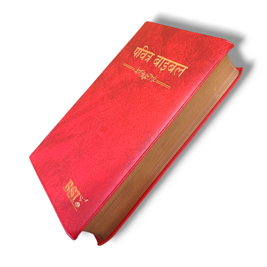 The Holy Bible In Hindi |Crown Maroon Color Bound |Golden Edge Bible |Hindi Compact Size Bible