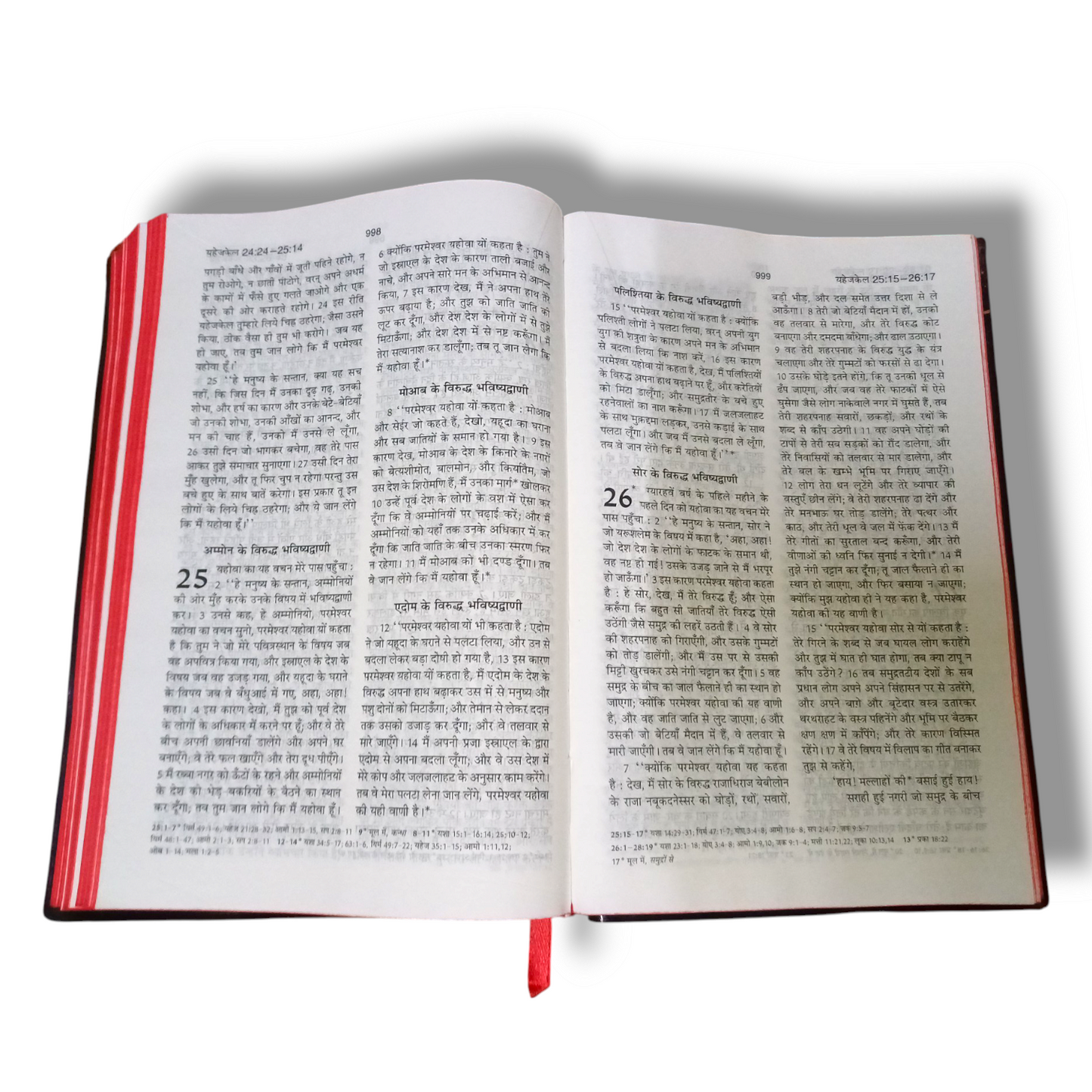 Hindi Holy Bible In Hindi |New Edition Bible Hindi