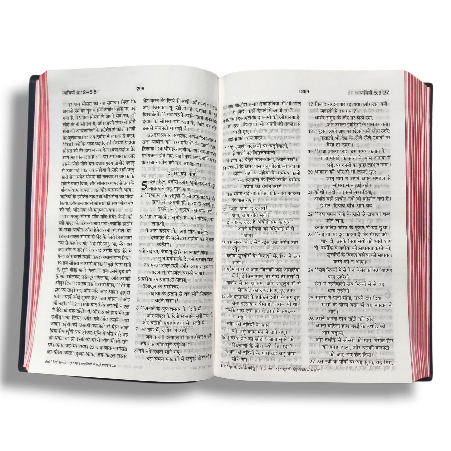 Holy Bible In Hindi |New Edition |Hindi Pavitra Bible