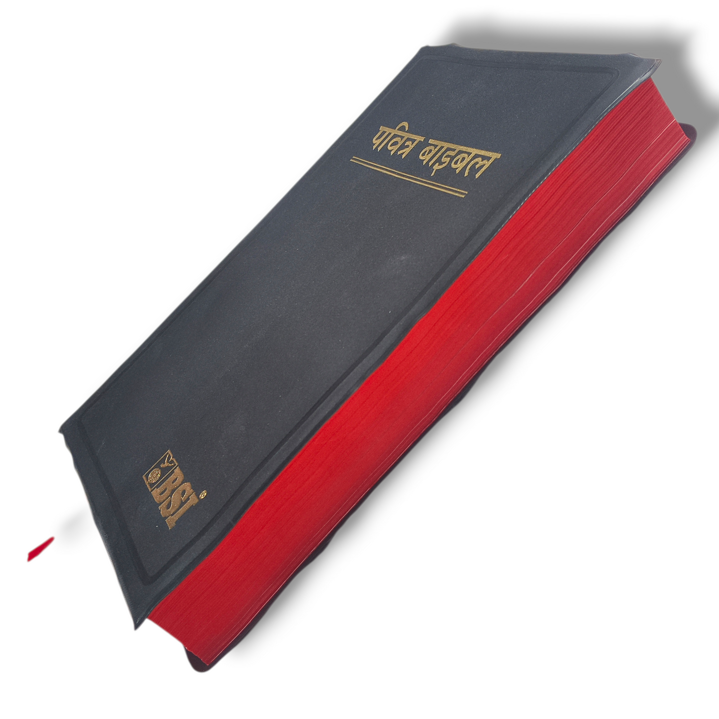 Hindi Holy Bible In Hindi |New Edition Bible Hindi