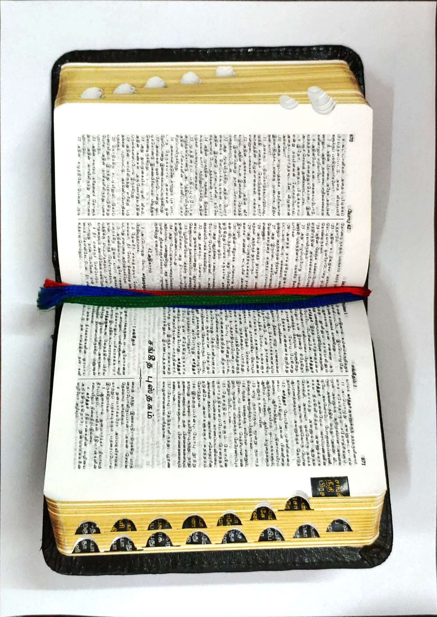 Tamil Bible Compact Edition - Velvet Cover with Zipper and Thumb Indexing