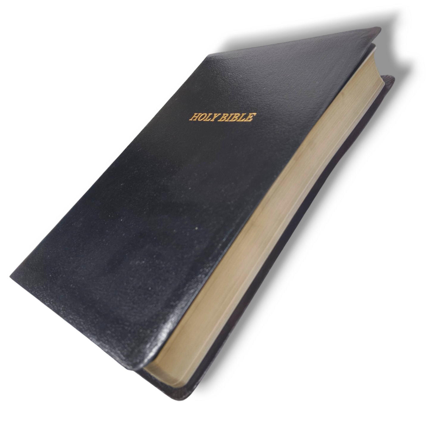 KJV Holy Bible , Giant Print Thinline Bible | Black Leather Soft | Thumb Indexed | Red Letter | Comfort Print: King James Version: Holy Bible, King James Version | New Edition