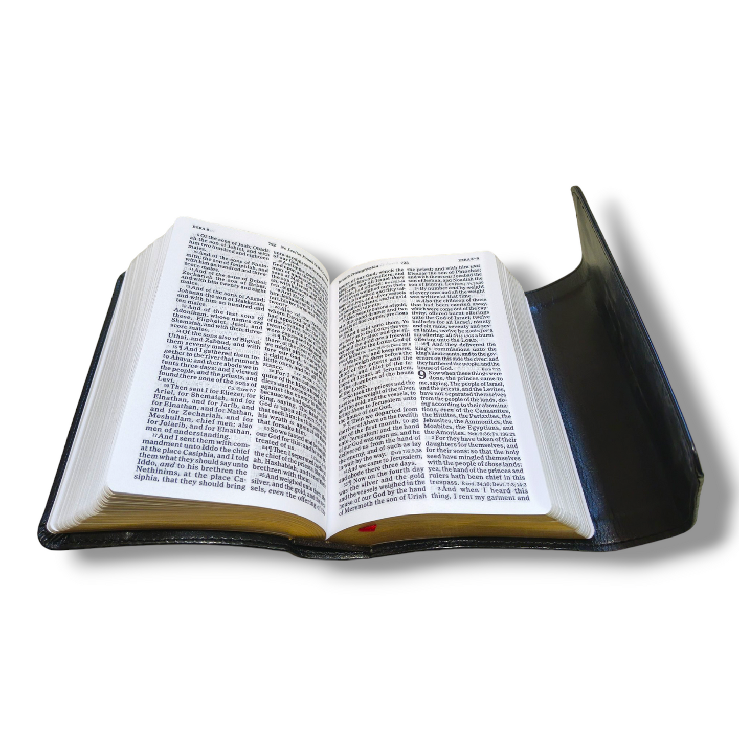 KJV Reference Bible | Large Print Bible | Black Leather Flap Type Cover Edition | Golden Edge Bible | Red Letter | New Edition