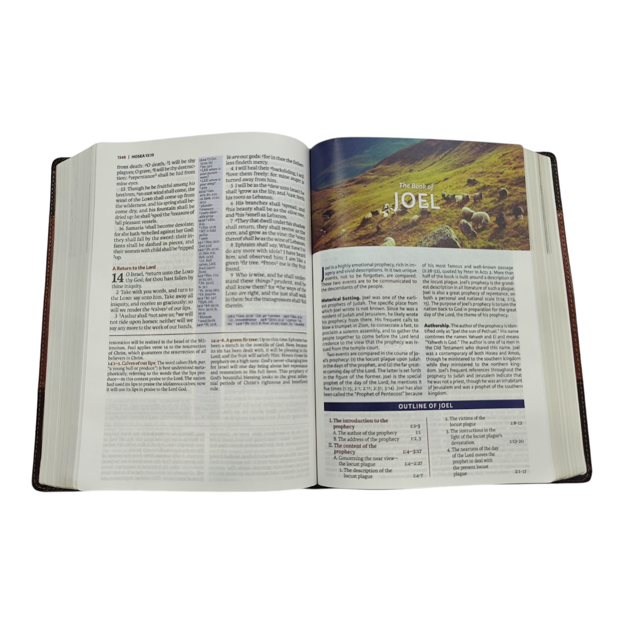 "KJV Study Bible Full-Color Edition – 20,000+ study notes, maps, and visuals. Trusted KJV translation for deep, engaging Scripture study. ISBN: 9780718079826."