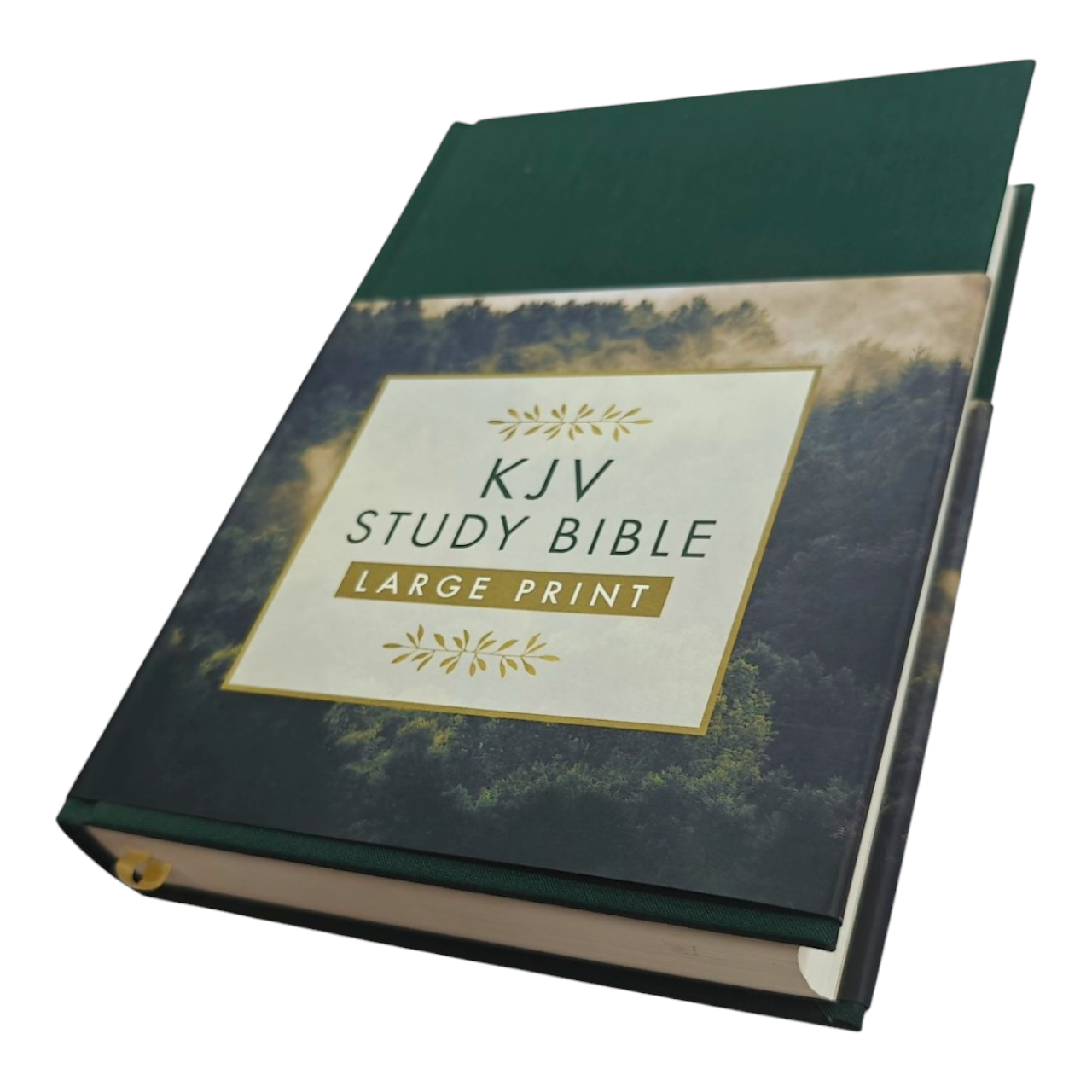 KJV Study Bible – Large Print Hardcover, Full-Color Maps & Charts, Book Introductions, Verse-by-Verse Notes, Words of Christ in Red | Perfect for Seniors & Bible Study Groups | ISBN 9781643527963