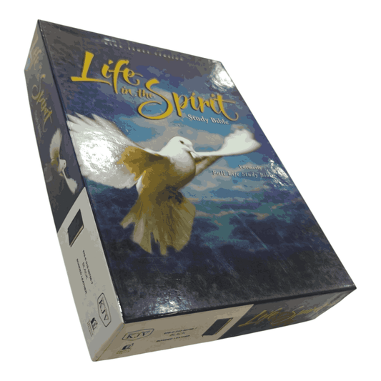 ife in the Spirit Study Bible – NIV insights on the Holy Spirit’s power, practical application, and spiritual growth. ISBN: 9780310927587."
