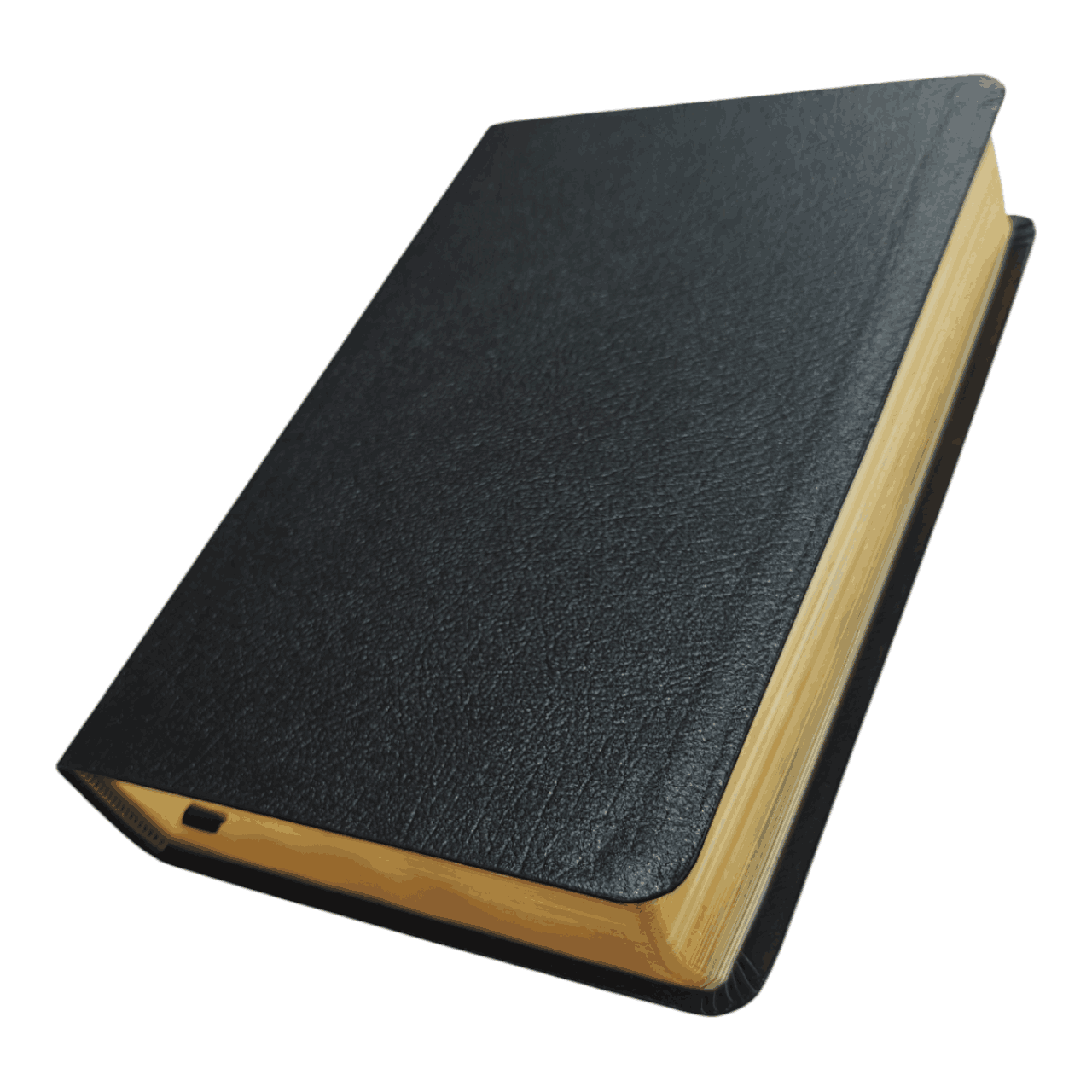ife in the Spirit Study Bible – NIV insights on the Holy Spirit’s power, practical application, and spiritual growth. ISBN: 9780310927587."