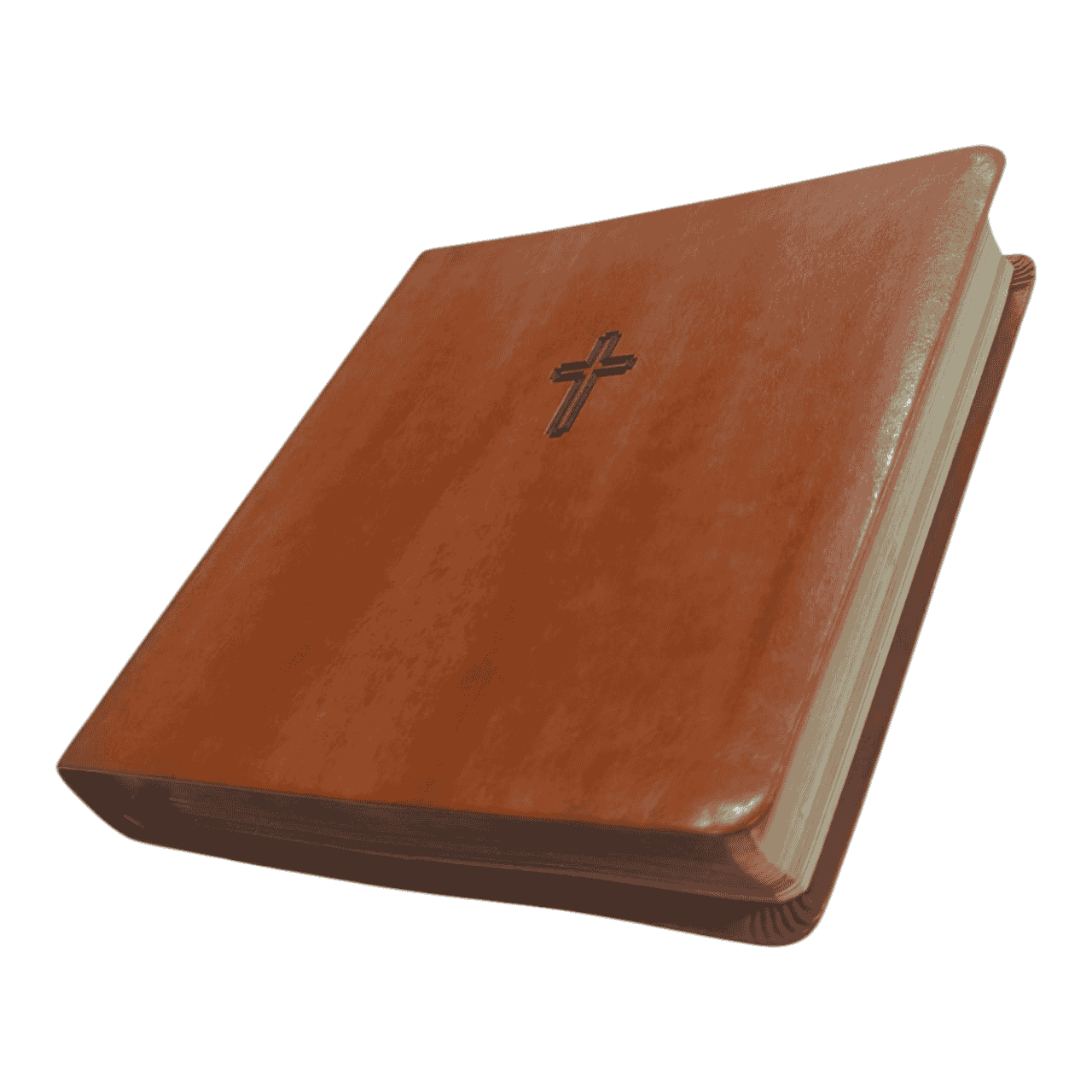 NASB Holy Bible XL Edition – Extra-Large Print, Easy-to-Read Format (ISBN: 9780310109402)
