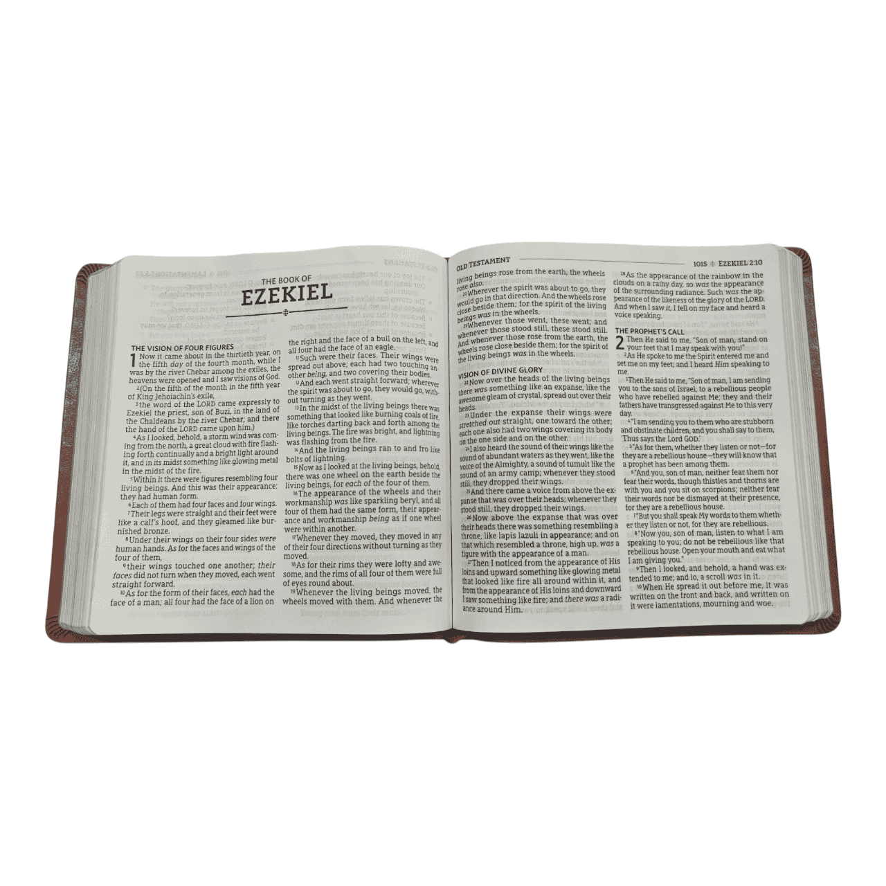 NASB Holy Bible XL Edition – Extra-Large Print, Easy-to-Read Format (ISBN: 9780310109402)