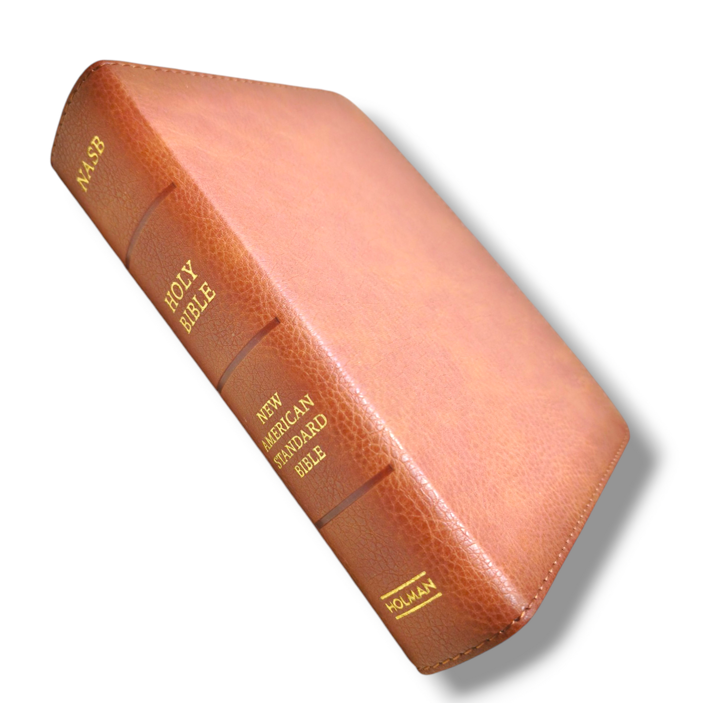 NASB Version | Large Print Compact Bible | Reference Bible | Brown Leather Cover Edition | New Edition