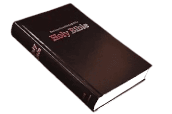 NASB Standard Bible, 2020 Edition – New American Standard Bible, Accurate Word-for-Word Translation (ISBN: 9780310451044)