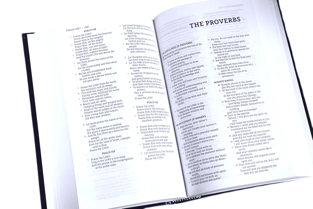 NASB Standard Bible, 2020 Edition – New American Standard Bible, Accurate Word-for-Word Translation (ISBN: 9780310451044)
