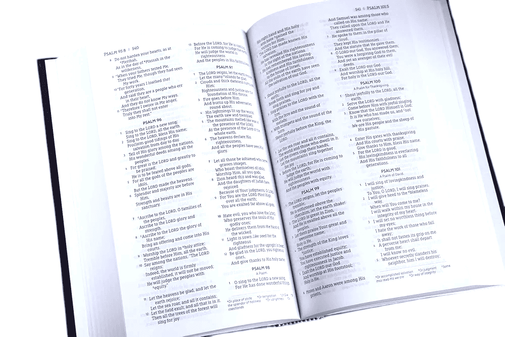 NASB Standard Bible, 2020 Edition – New American Standard Bible, Accurate Word-for-Word Translation (ISBN: 9780310451044)
