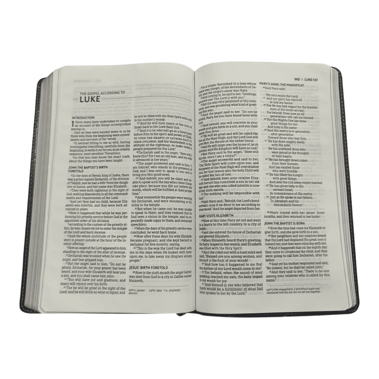 NASB Thinline Bible – New American Standard Version, Slim Portable Edition (ISBN: 9780310455431)