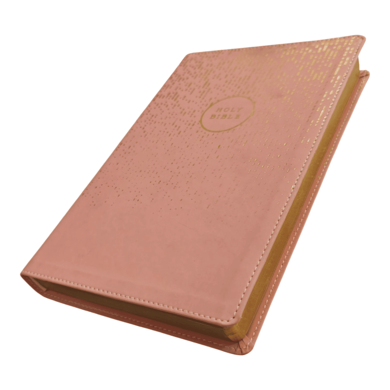 NIV Bible for Teens Thinline Edition – Slim, Portable, Easy-to-Read (ISBN: 9780310455066)