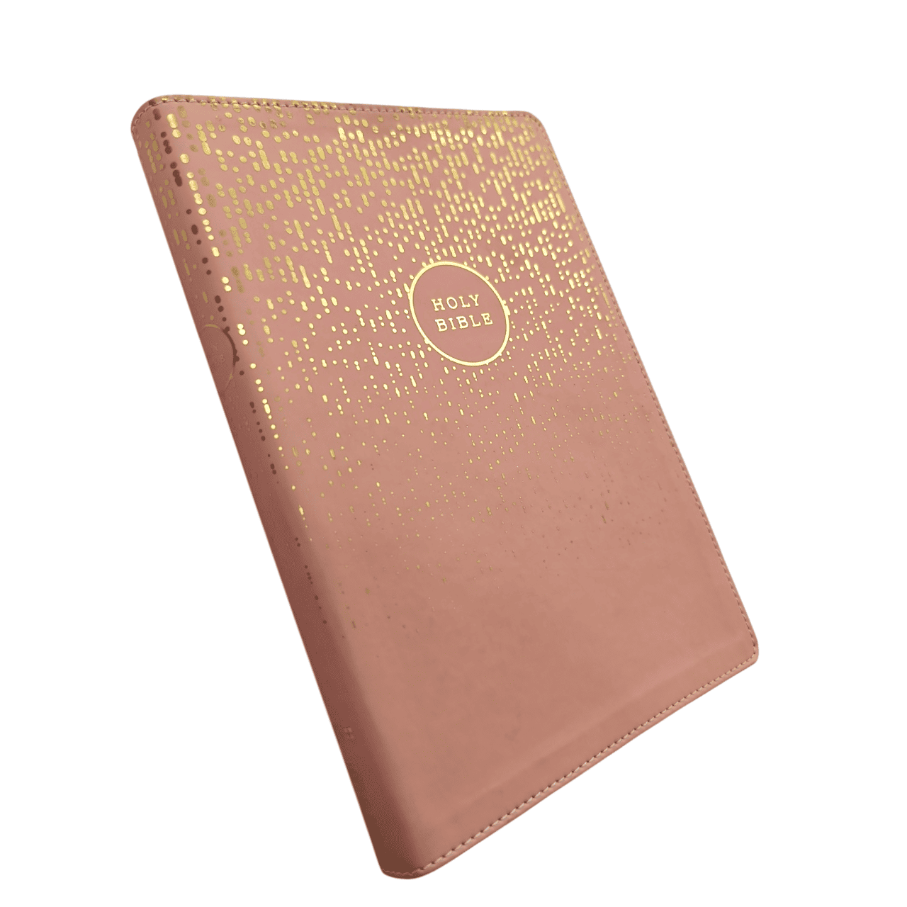 NIV Bible for Teens Thinline Edition – Slim, Portable, Easy-to-Read (ISBN: 9780310455066)