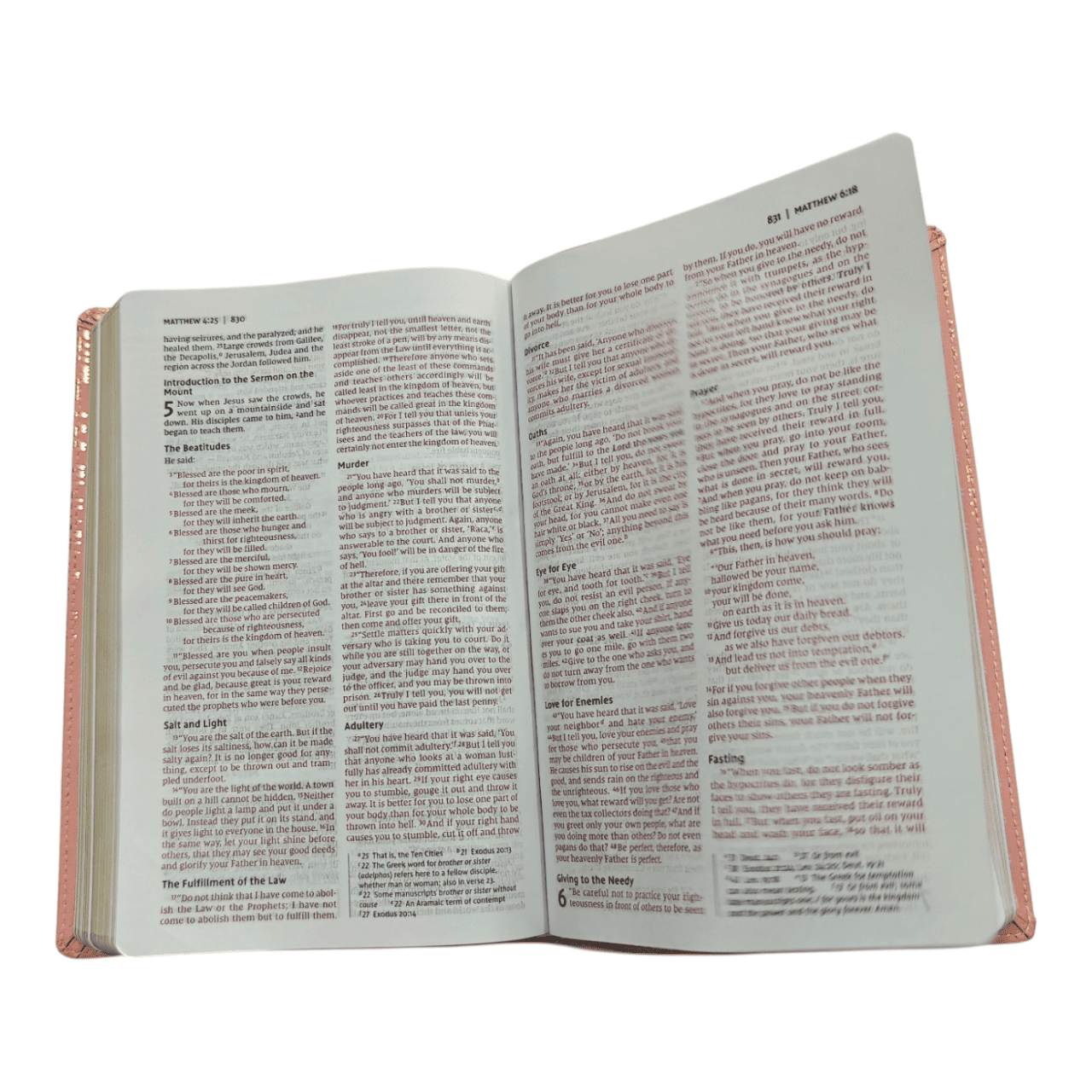 NIV Bible for Teens Thinline Edition – Slim, Portable, Easy-to-Read (ISBN: 9780310455066)