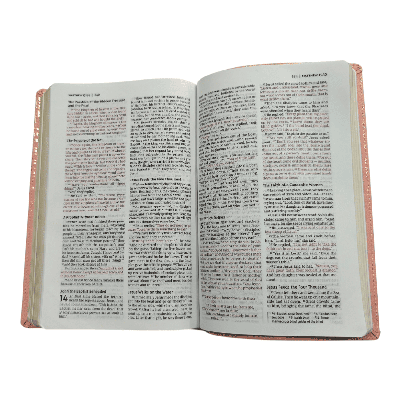 NIV Bible for Teens Thinline Edition – Slim, Portable, Easy-to-Read (ISBN: 9780310455066)