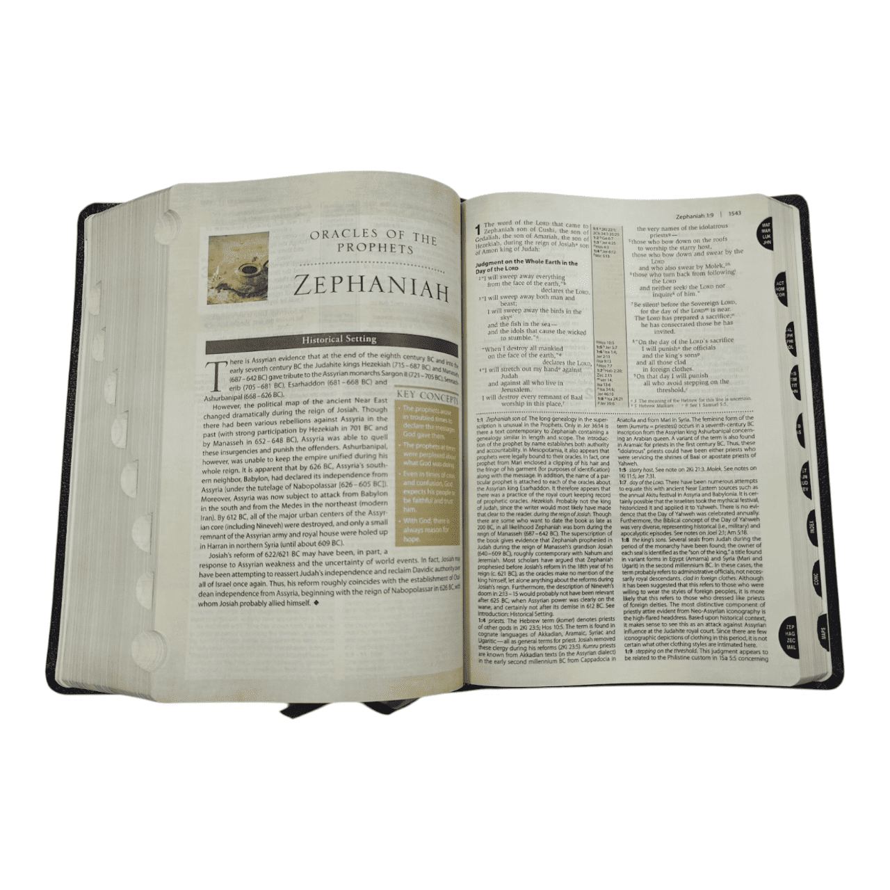 NIV Cultural Backgrounds Study Bible | Read the Bible Through the Eyes of the Original Audience