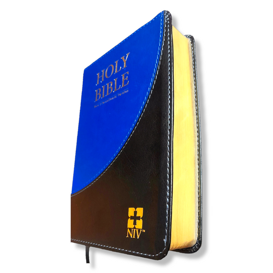 NIV Compact Bible.
