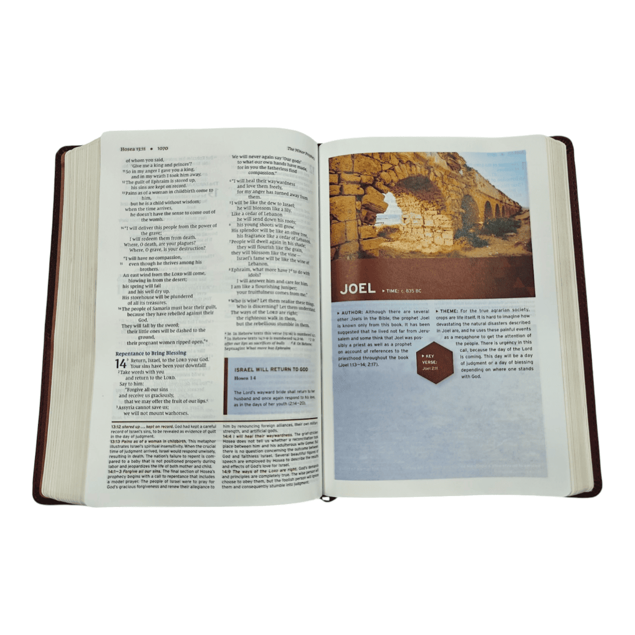 NIV Halley's Study Bible – with Concise Notes, Archaeological Insights & Historical Context (ISBN: 9780310451495)
