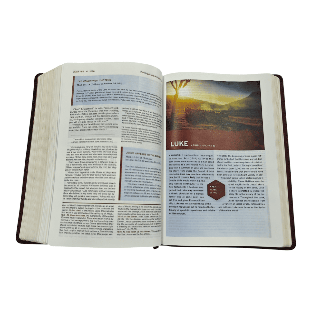 NIV Halley's Study Bible – with Concise Notes, Archaeological Insights & Historical Context (ISBN: 9780310451495)