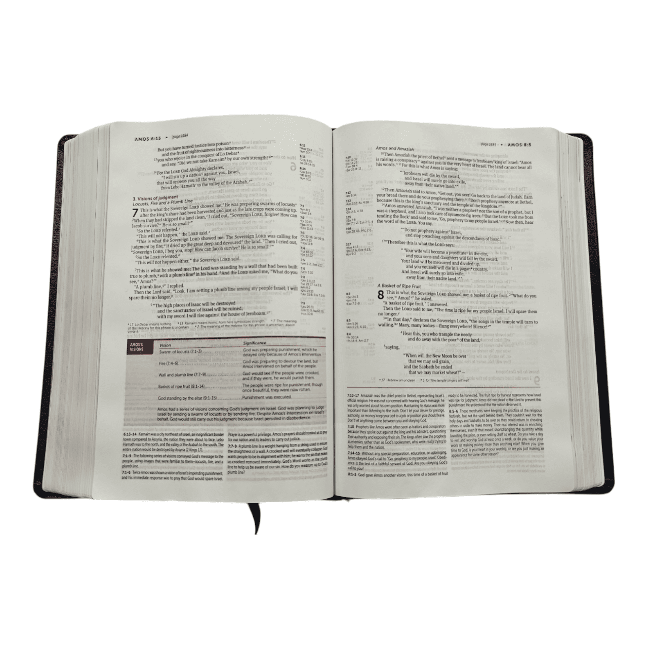 NIV Life Application Study Bible, Black – Practical Insights for Everyday Life (ISBN: 9780310452775)