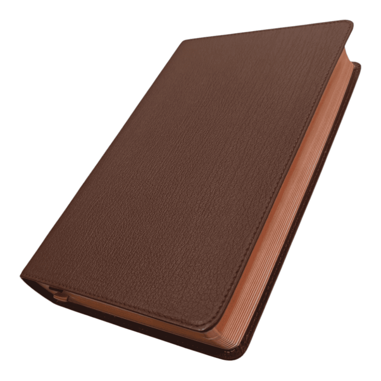 NIV Personal Size Bible Large Print – Compact, Easy-to-Read Edition (ISBN: 9780310455950)