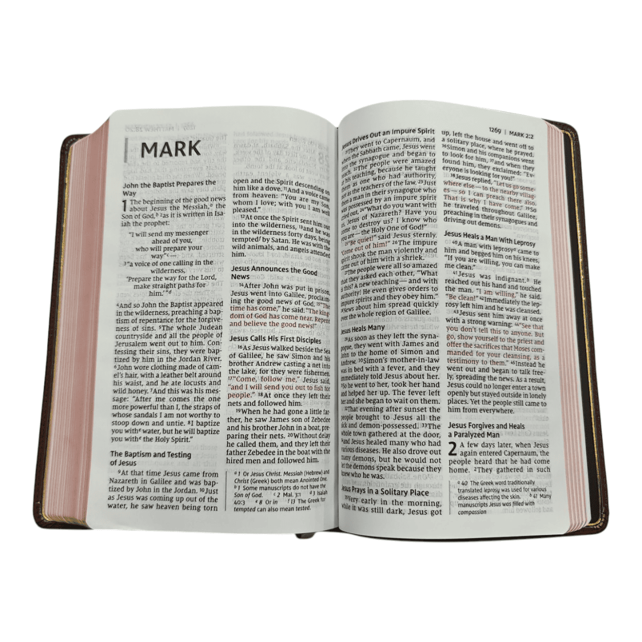 NIV Personal Size Bible Large Print – Compact, Easy-to-Read Edition (ISBN: 9780310455950)