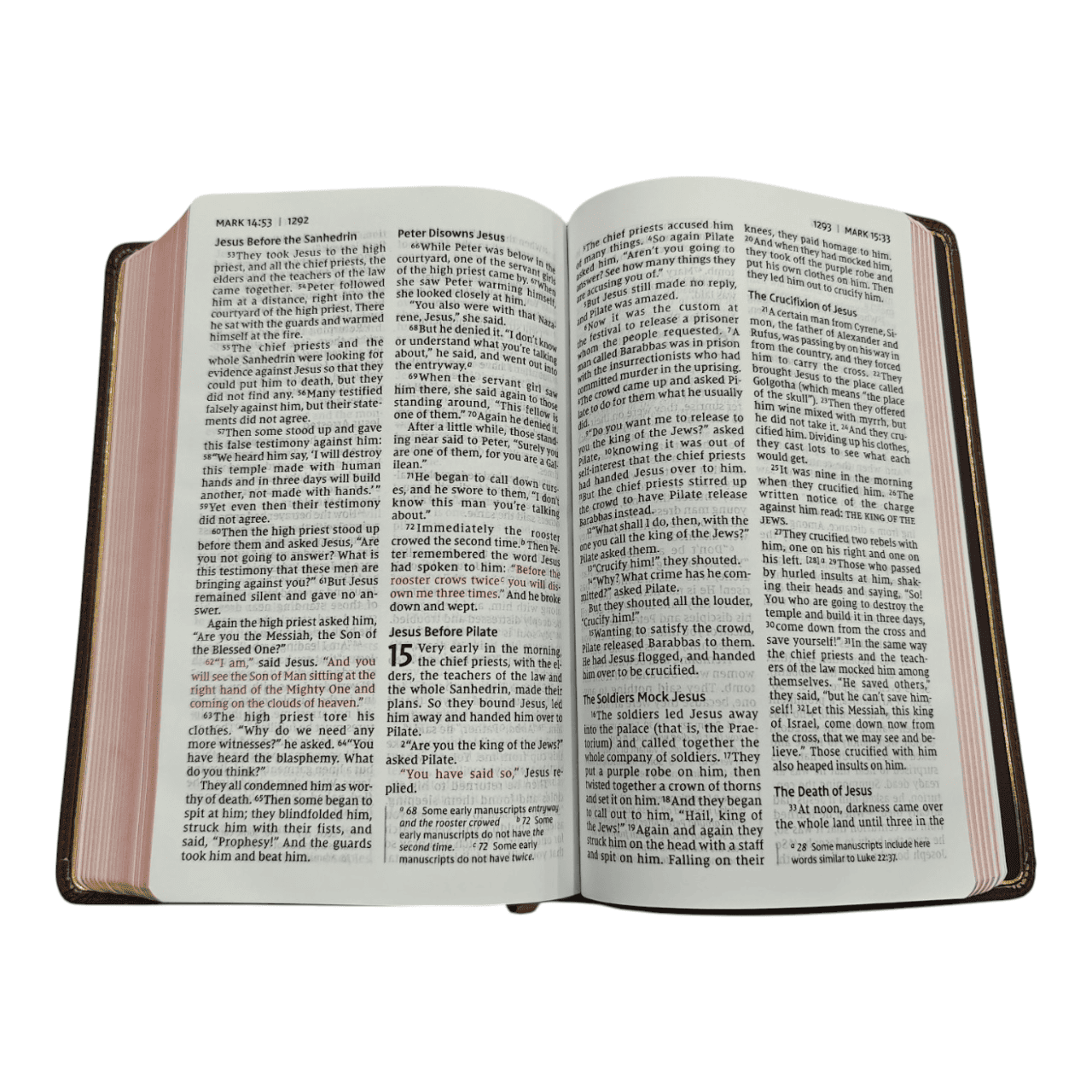 NIV Personal Size Bible Large Print – Compact, Easy-to-Read Edition (ISBN: 9780310455950)