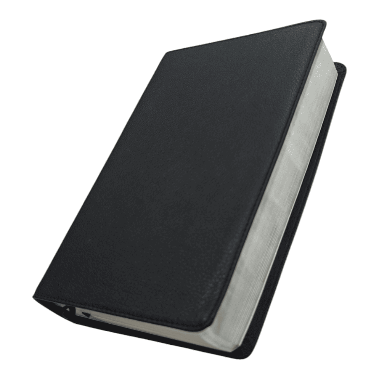 NIV Personal Size Large Print Reference Bible Value Edition – Compact, Easy-Read with Cross-References (ISBN: 9780310449768)
