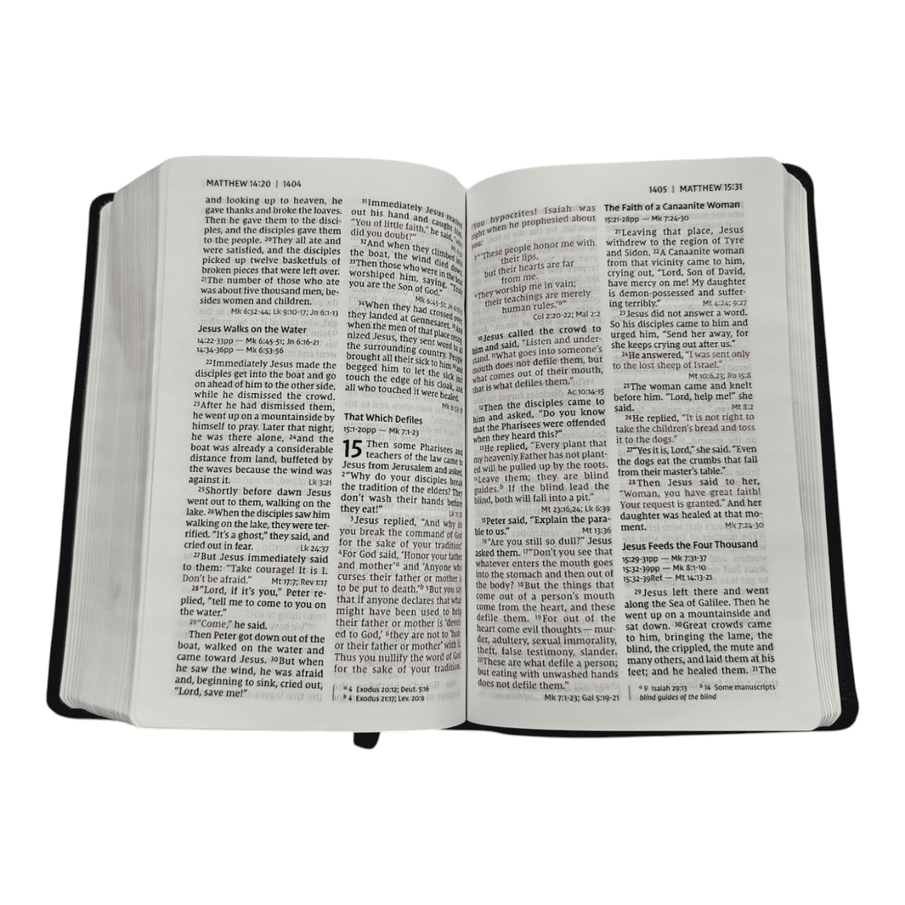 NIV Personal Size Large Print Reference Bible Value Edition – Compact, Easy-Read with Cross-References (ISBN: 9780310449768)
