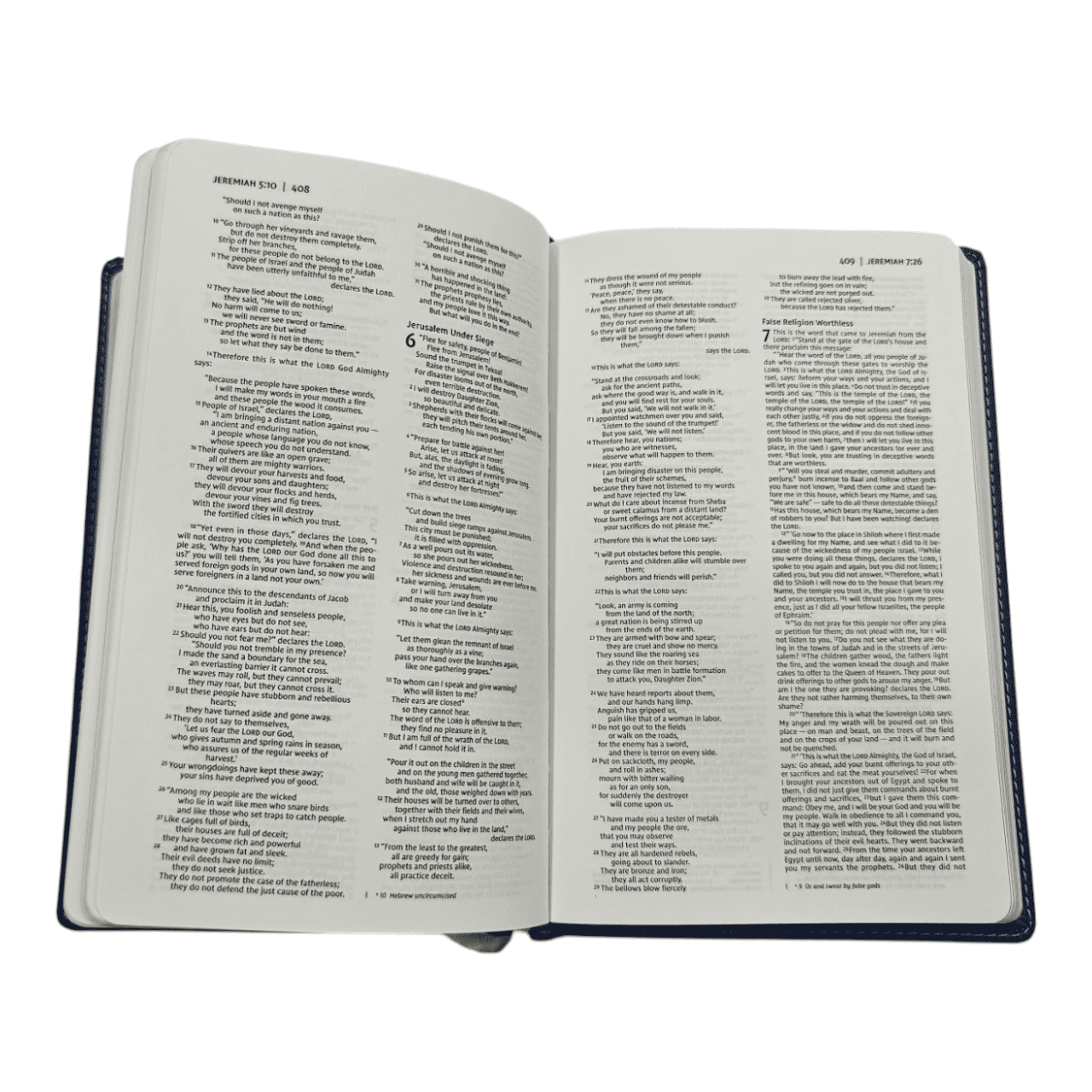 NIV Premium Gift Bible Youth Edition – Bold Colors, Inspiring Design (ISBN: 9780310454793)