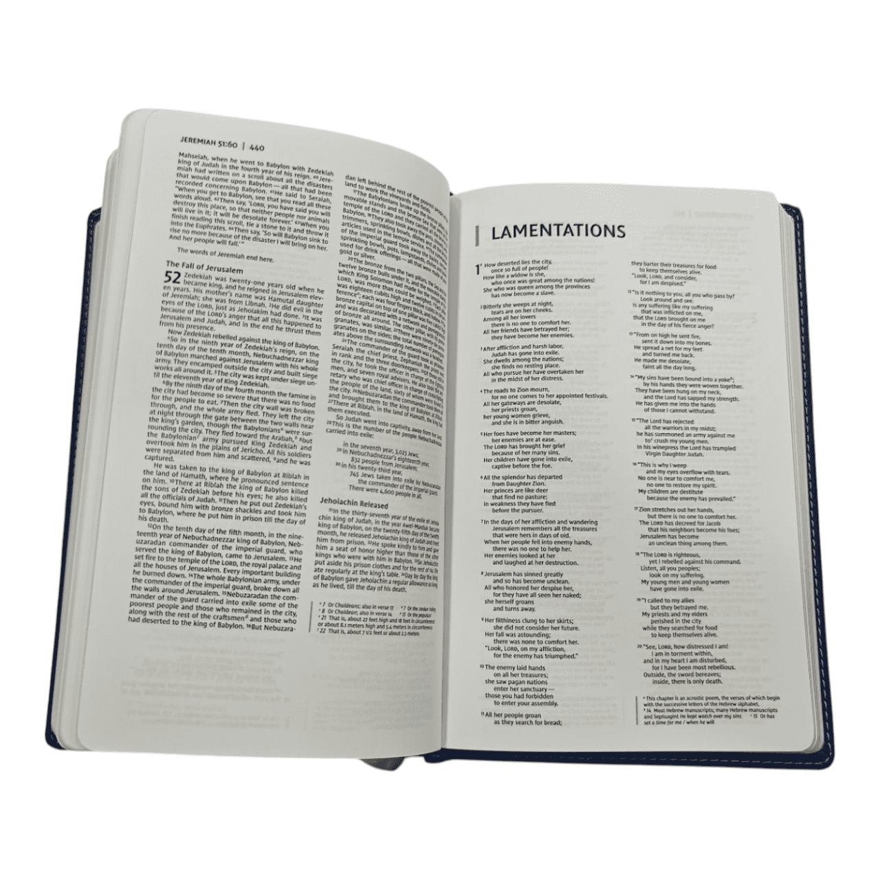 NIV Premium Gift Bible Youth Edition – Bold Colors, Inspiring Design (ISBN: 9780310454793)
