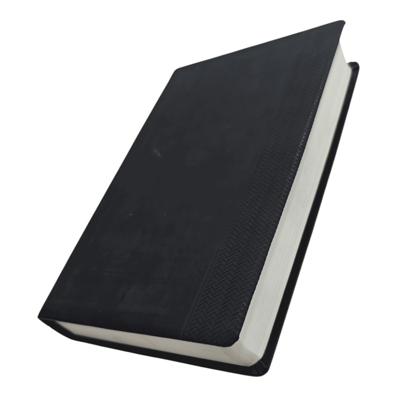 NIV Read Easy Bible – Clear Print, Trusted New International Version (ISBN: 9780310441625)