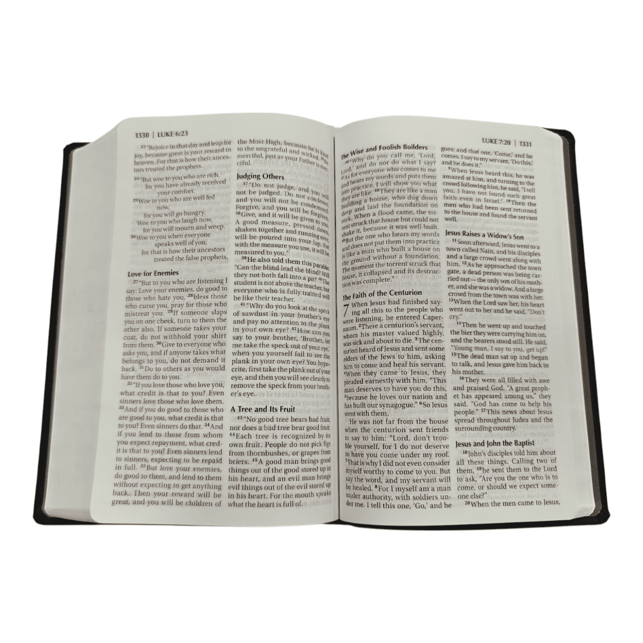 NIV Read Easy Bible – Clear Print, Trusted New International Version (ISBN: 9780310441625)