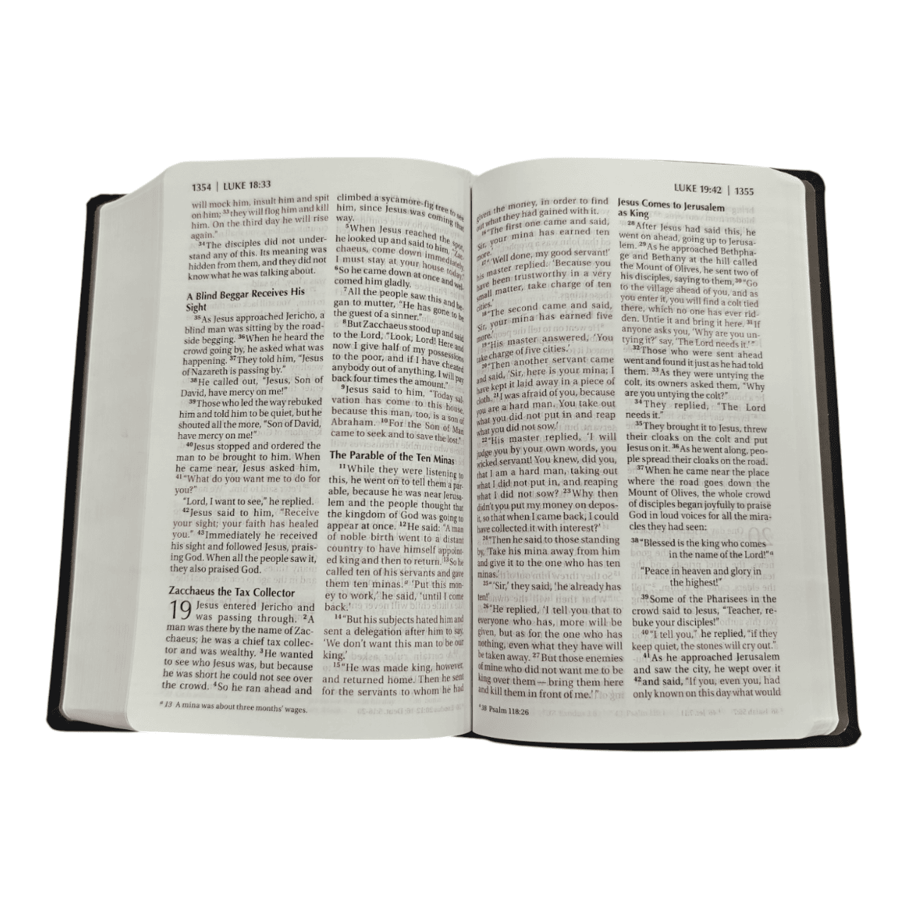 NIV Read Easy Bible – Clear Print, Trusted New International Version (ISBN: 9780310441625)