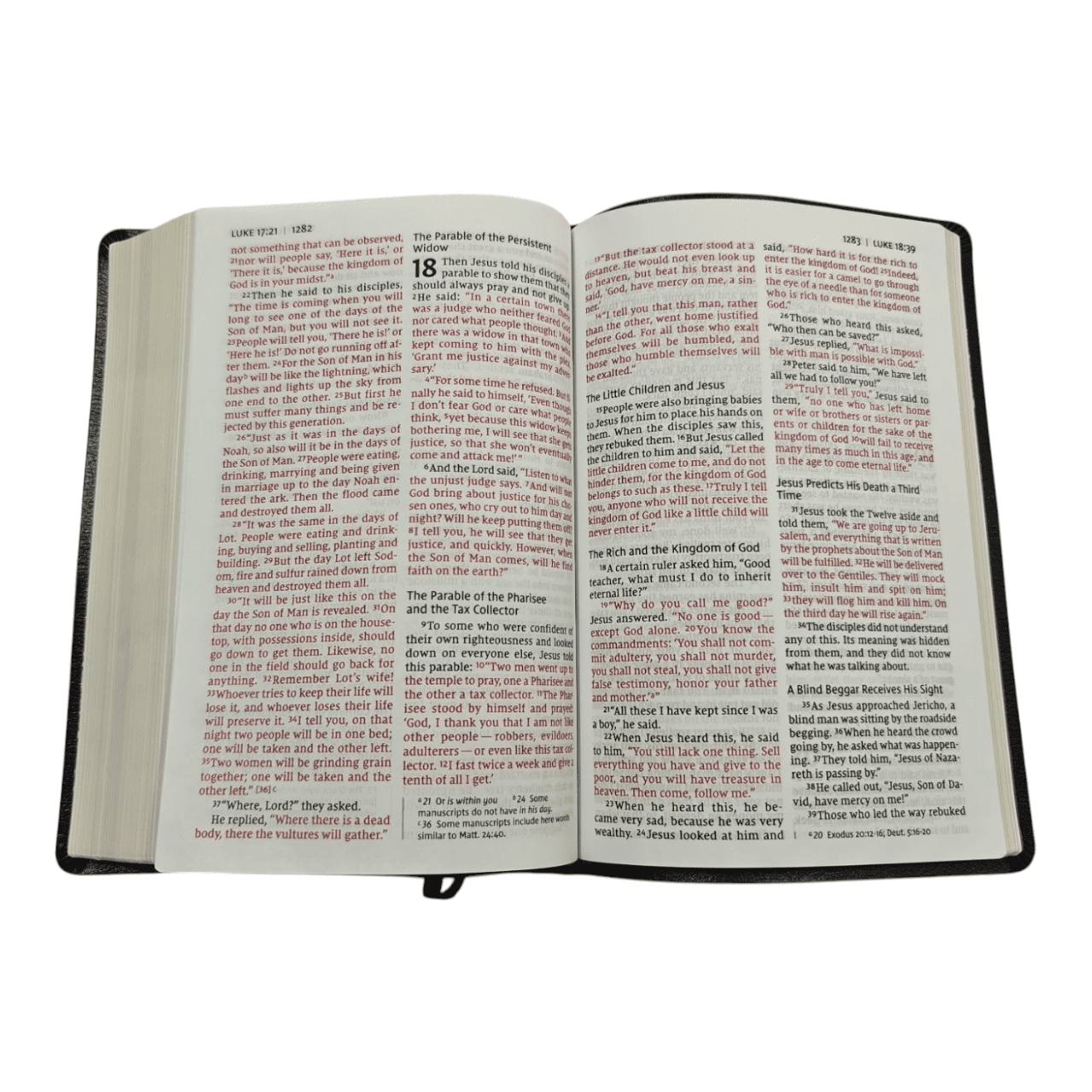 NIV Giant Print Thinline Bible | Maximum Readability in a Slim, Portable Design