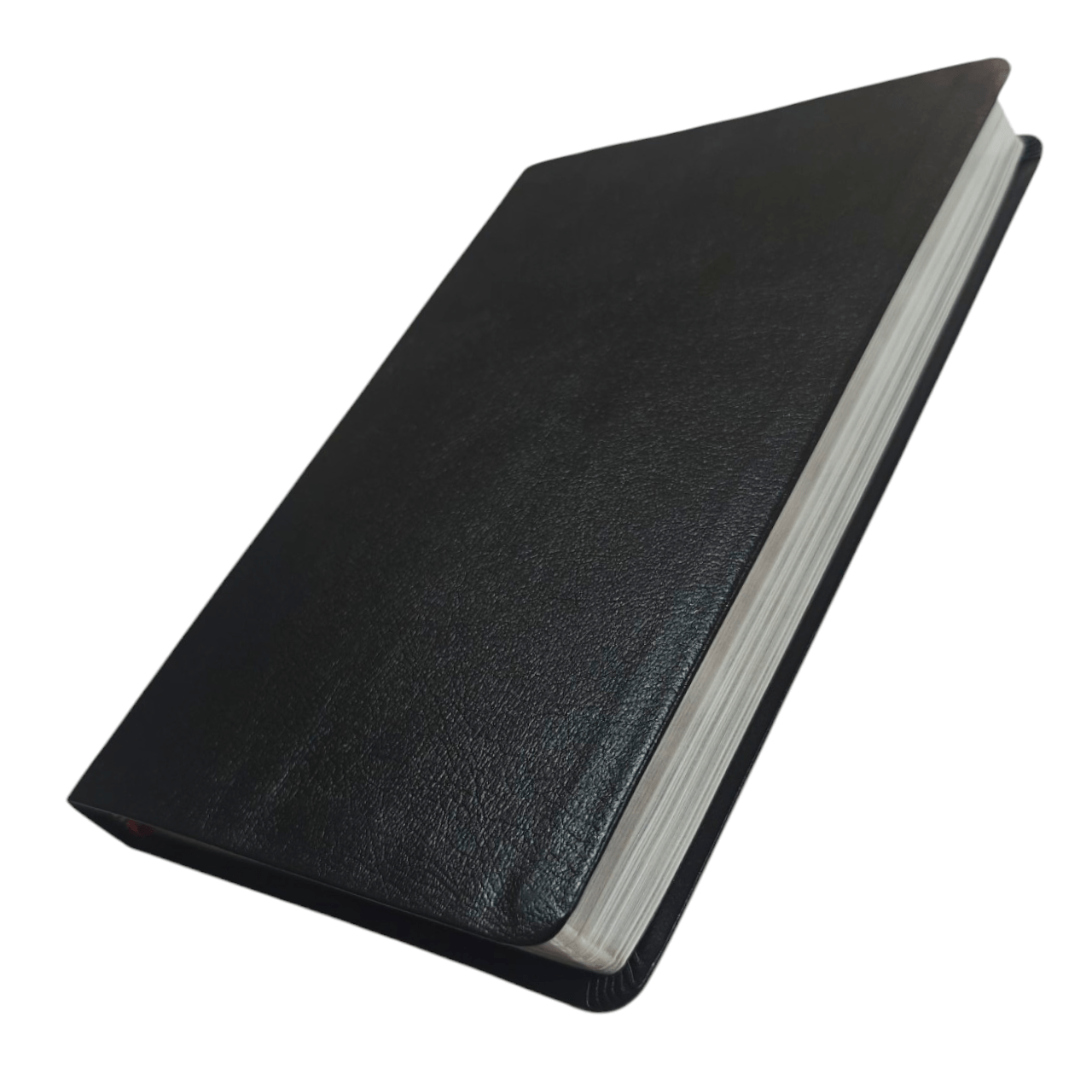NIV Thinline Bible Large Print – Easy-to-Read Slim Edition (ISBN: 9780310093213)
