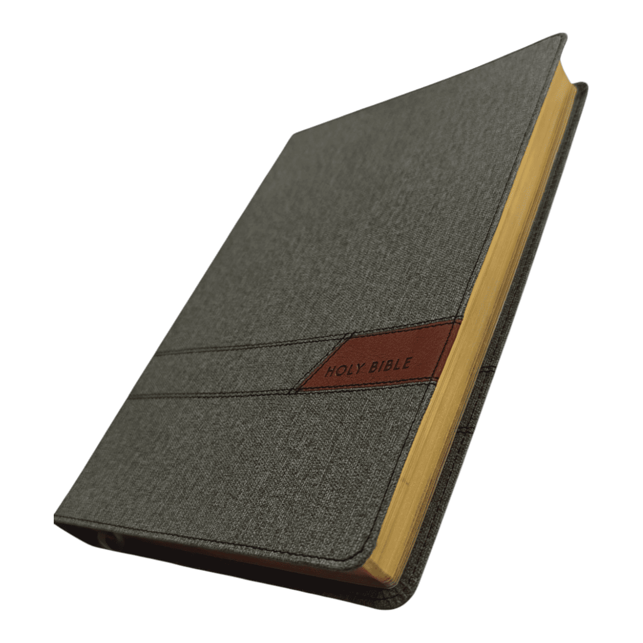 NIV Thinline Bible Large Print – Easy-to-Read Portable Edition (ISBN: 9780310463436)