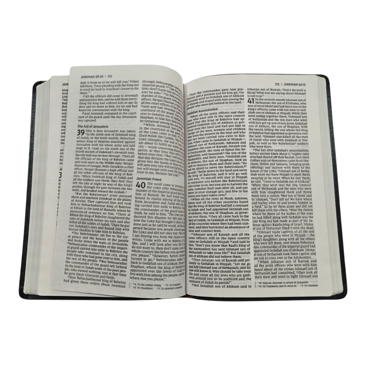 NIV Thinline Bible Large Print – Easy-to-Read Slim Edition (ISBN: 9780310093213)
