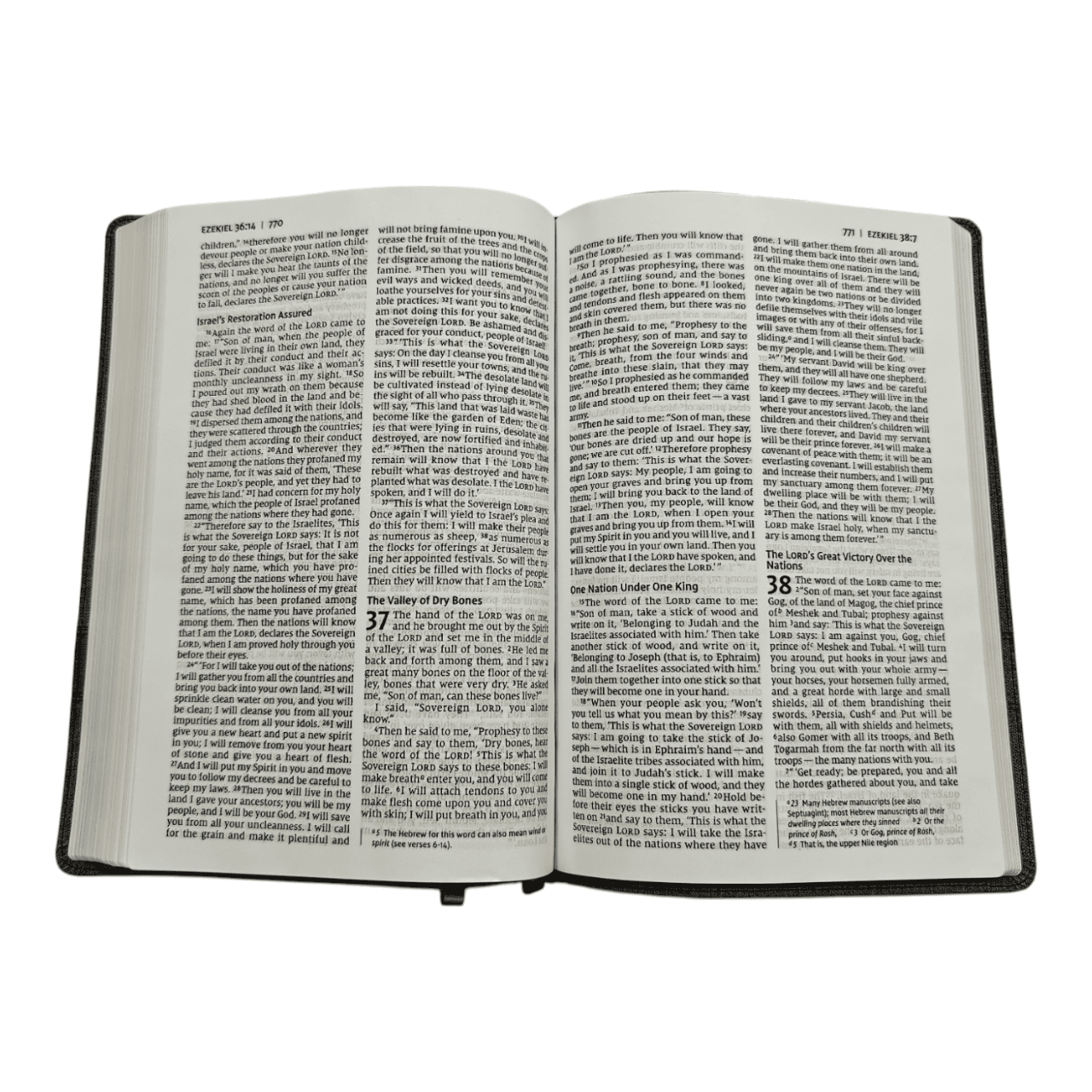 NIV Thinline Bible Large Print – Easy-to-Read Portable Edition (ISBN: 9780310463436)