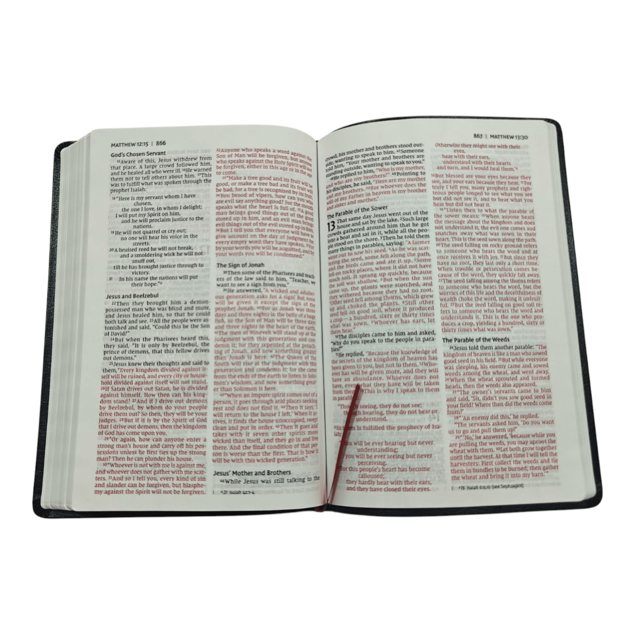 NIV Thinline Bible Large Print – Easy-to-Read Slim Edition (ISBN: 9780310093213)