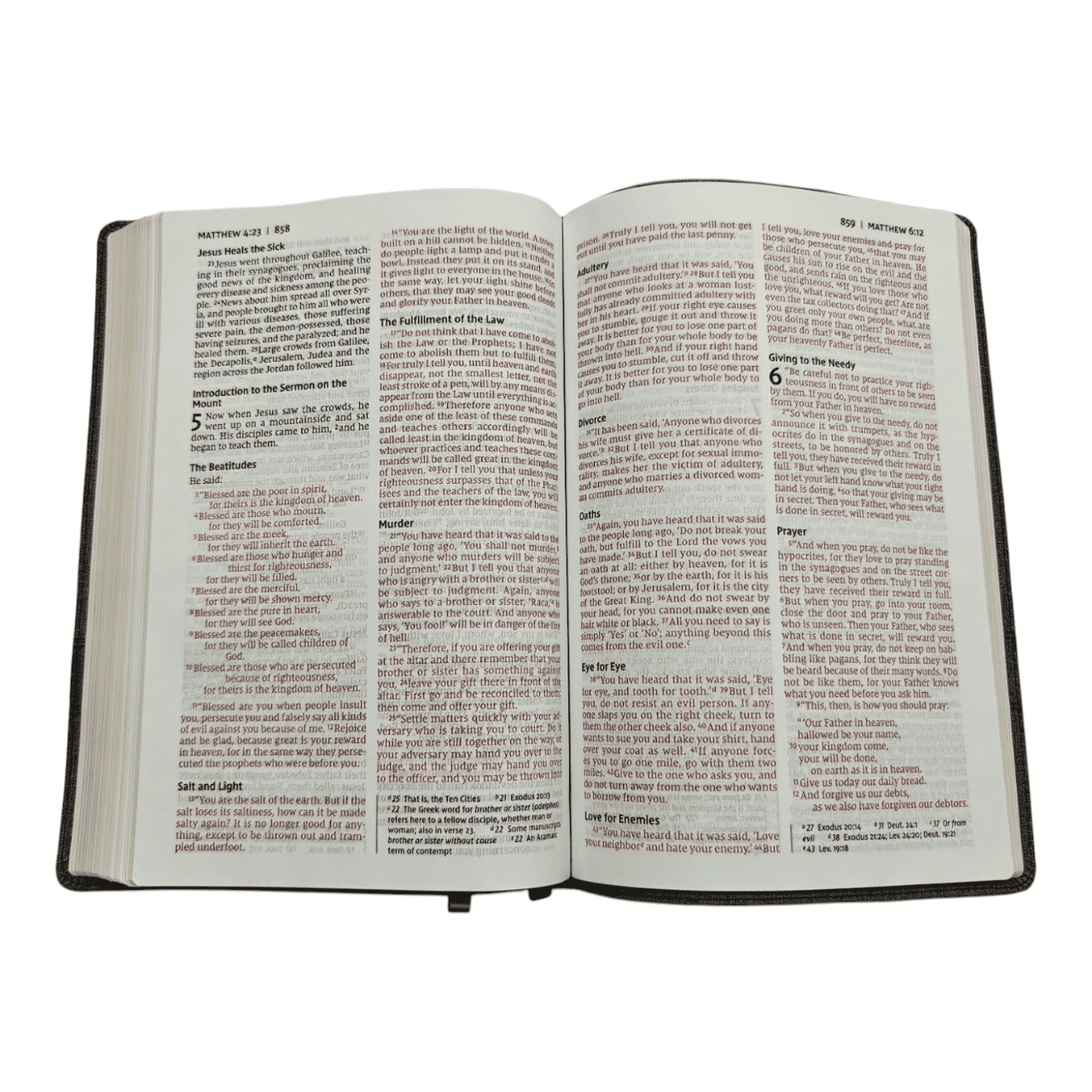 NIV Thinline Bible Large Print – Easy-to-Read Portable Edition (ISBN: 9780310463436)
