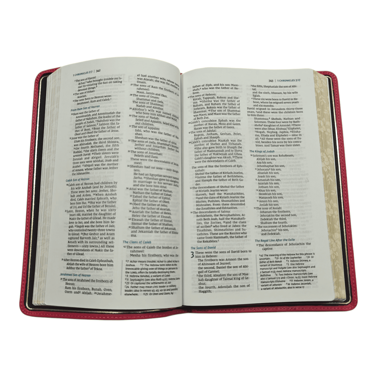 NIV Premier Collection Thinline Bible | Supple Goatskin Leather | Handcrafted for a Lifetime of Use